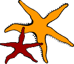 Villa La Saudade logo